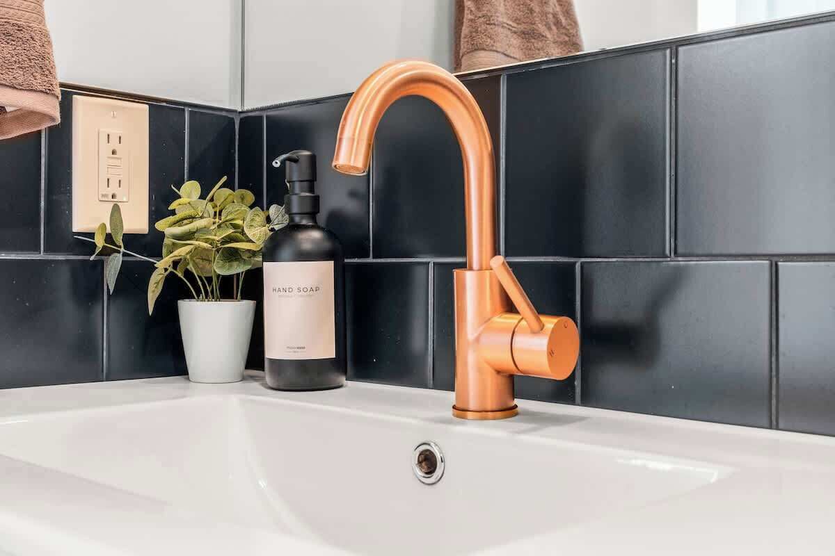 Assecador de cabells, tovalloles, sabó i xampú 