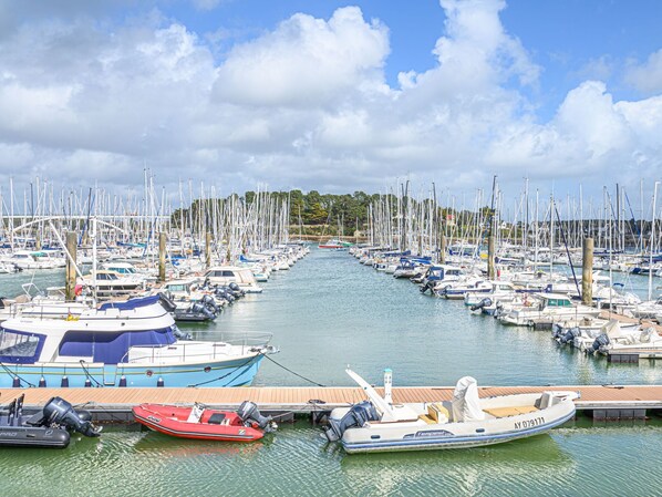Boats docked in a well-organized marina, offering a serene waterfront experience.