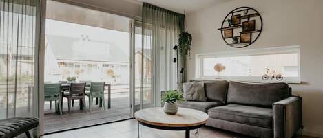 تلفزيون، مشغل دي في دي