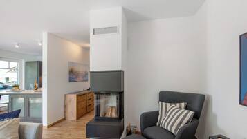 Fernseher, Kamin, Videospiele