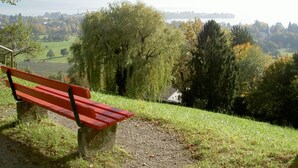 A bench overlooking a scenic landscape with trees and a distant view of a city. - Holiday Apartment 'Dinkelbach Landhaus 1 A Charmant' with Lake View, Balcony and Wi-Fi (Bodolz)