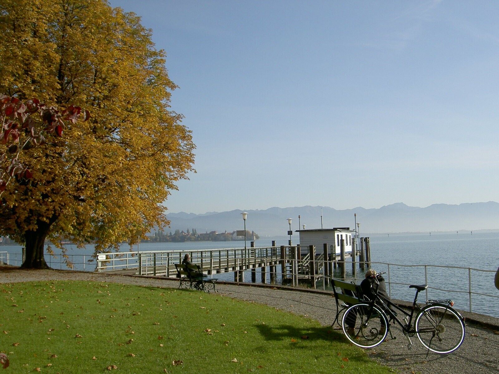 A park with a bench, a bicycle, and a dock extending into a body of water.