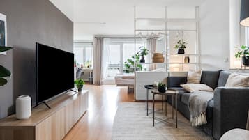 Fernseher, DVD-Player