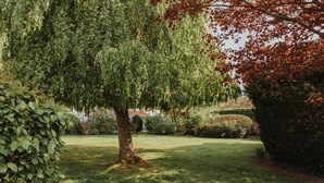 A well-maintained garden with a large tree, neatly trimmed hedges, and a clear pathway.