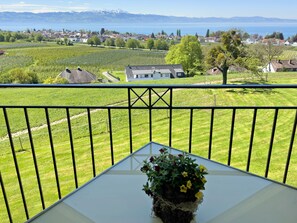 A balcony with a view of vineyards, a small house, and a distant lake. - Apartment '3' with Lake View, Shared Garden and Wi-Fi (Kressbronn am Bodensee)