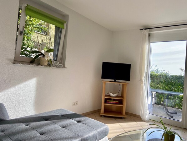 Une pièce avec un canapé gris, un téléviseur posé sur un meuble en bois, une petite bibliothèque et un balcon agrémenté de plantes.