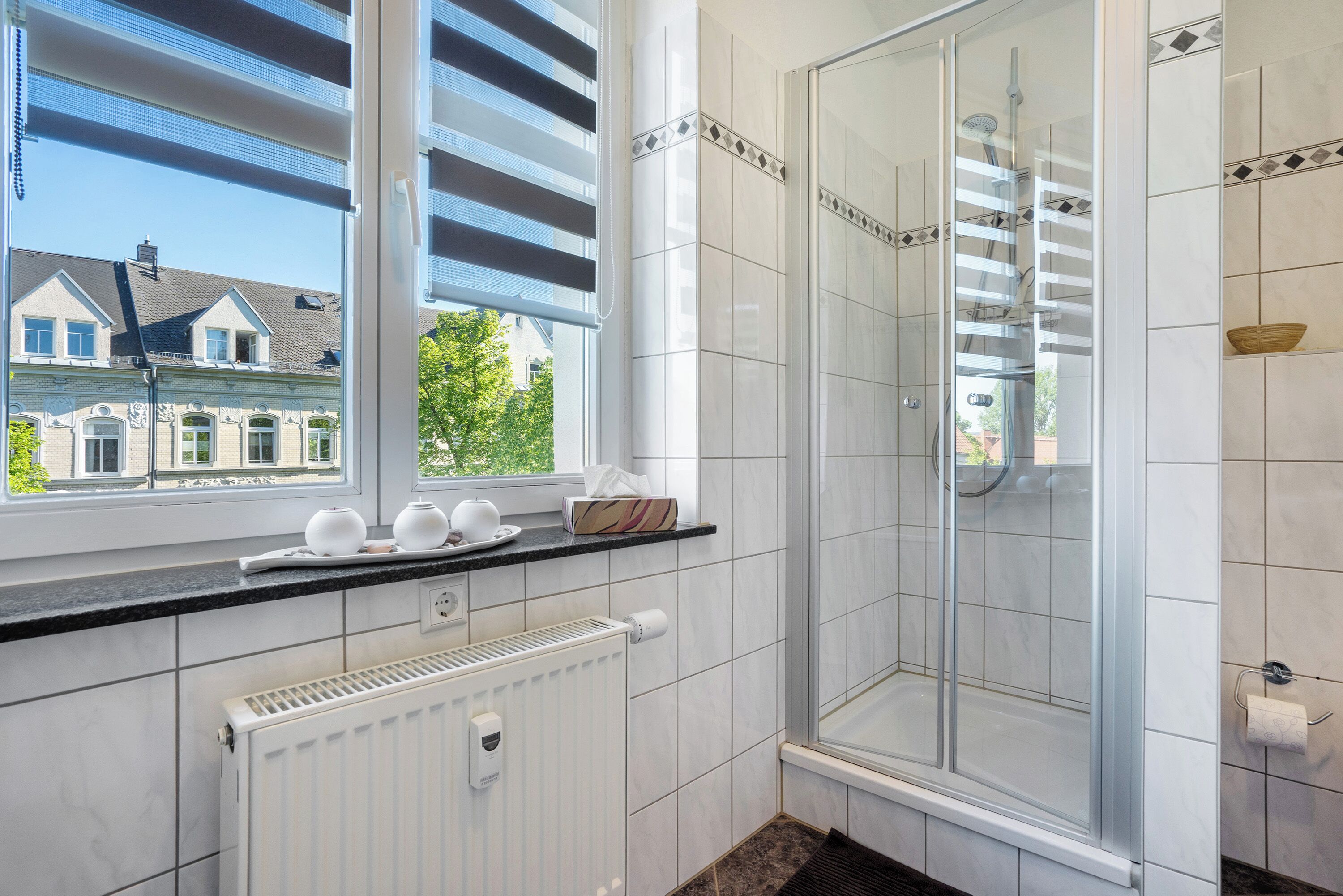 Shower, hair dryer, towels