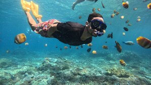 An underwater scene with a person snorkeling surrounded by various fish. - Aman Dia Cruise (Serangan)