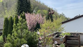 Àrea exterior de l'allotjament