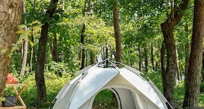 Relaxing tent in private campground 20 minutes from rainbow springs