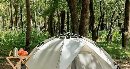 Relaxing tent in private campground 20 minutes from rainbow springs