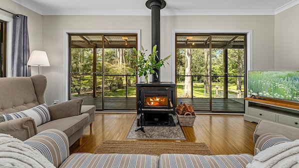 TV connectée, cheminée