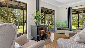 Smart TV y chimenea