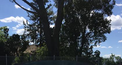 Mas de Puechredon, grande demeure familiale au coeur d'un domaine viticole !