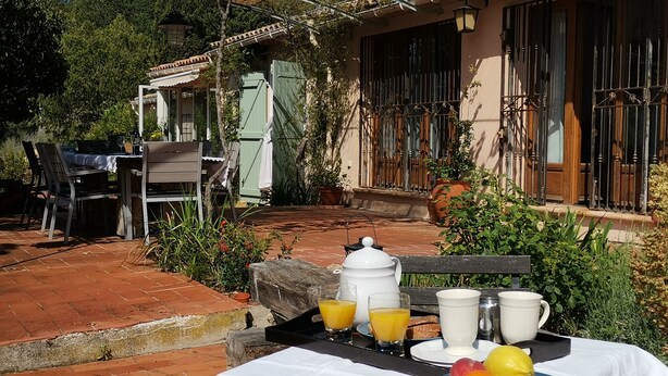 An outdoor breakfast setup with a table, chairs, and a variety of breakfast items including fruits and beverages.