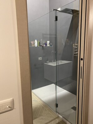 Shower, hair dryer, bidet, towels