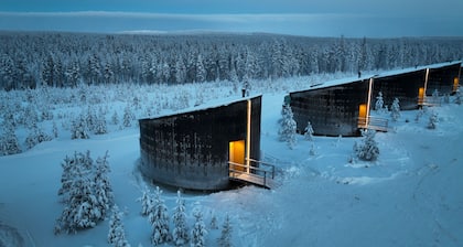 Livo Arctic