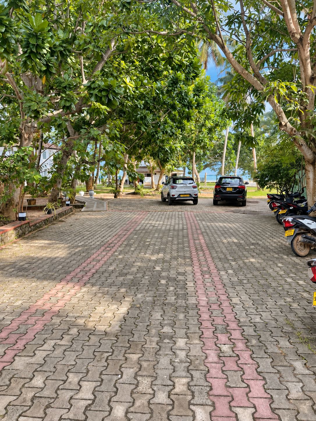 A paved pathway lined with trees and parked vehicles.