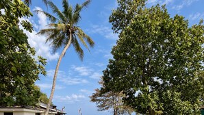 A swimming pool with a clear view of the ocean, surrounded by lush greenery and a small building. - Casa Smeralda (Batigama)