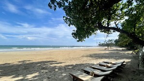 Una playa con tumbonas bajo un árbol, cielo despejado y el océano al fondo.