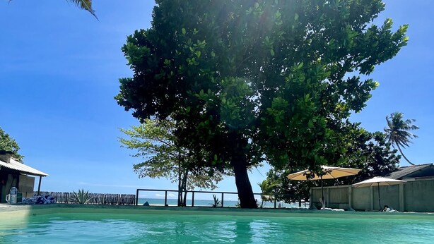 Una piscina cristalina con un árbol grande en el centro, rodeada de edificios y un cielo despejado.