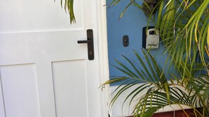 A white door with a black handle, a blue wall, and a brick wall with a plant.