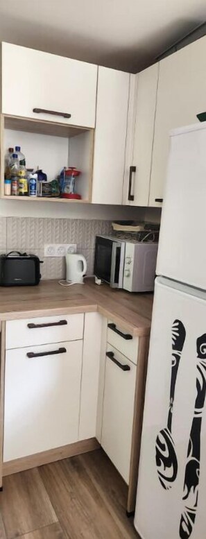 Réfrigérateur, micro-ondes, plaque de cuisson, lave-vaisselle