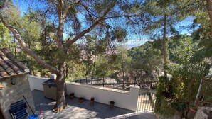 Un patio con pared de piedra, suelo de baldosas y plantas en macetas.