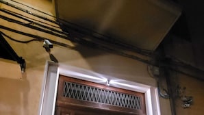 Une grande porte en bois, ornée d’une grille métallique, avec un cadre blanc et une petite fenêtre au-dessus.