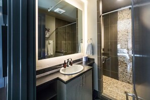 Douche, séchoir à cheveux, serviettes fournies