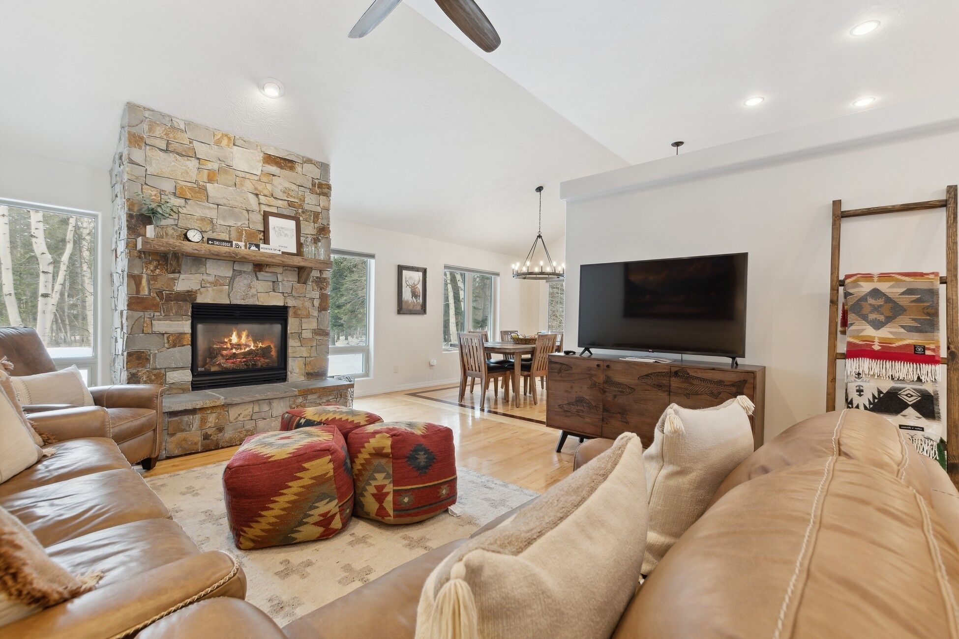 TV, fireplace