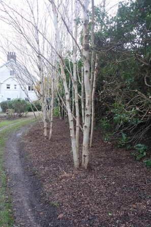 Property grounds - House in Mumbles and Gower (Mumbles)