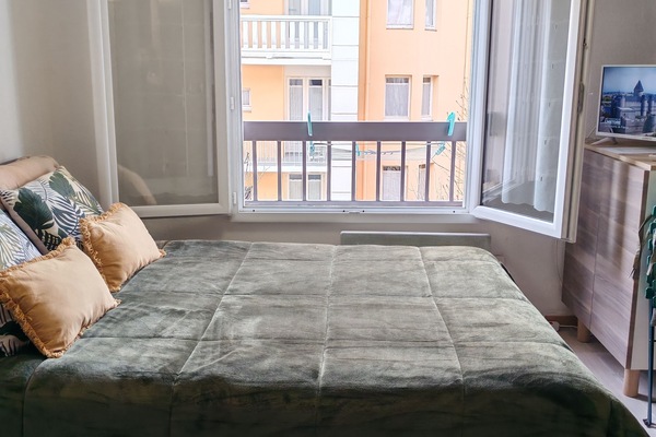 Iron/ironing board, WiFi (free), bed sheets