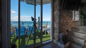 Ein Zimmer mit einer großen Schiebeglastür, die auf einen Balkon mit Teleskop, Steinwand und Kamin führt.