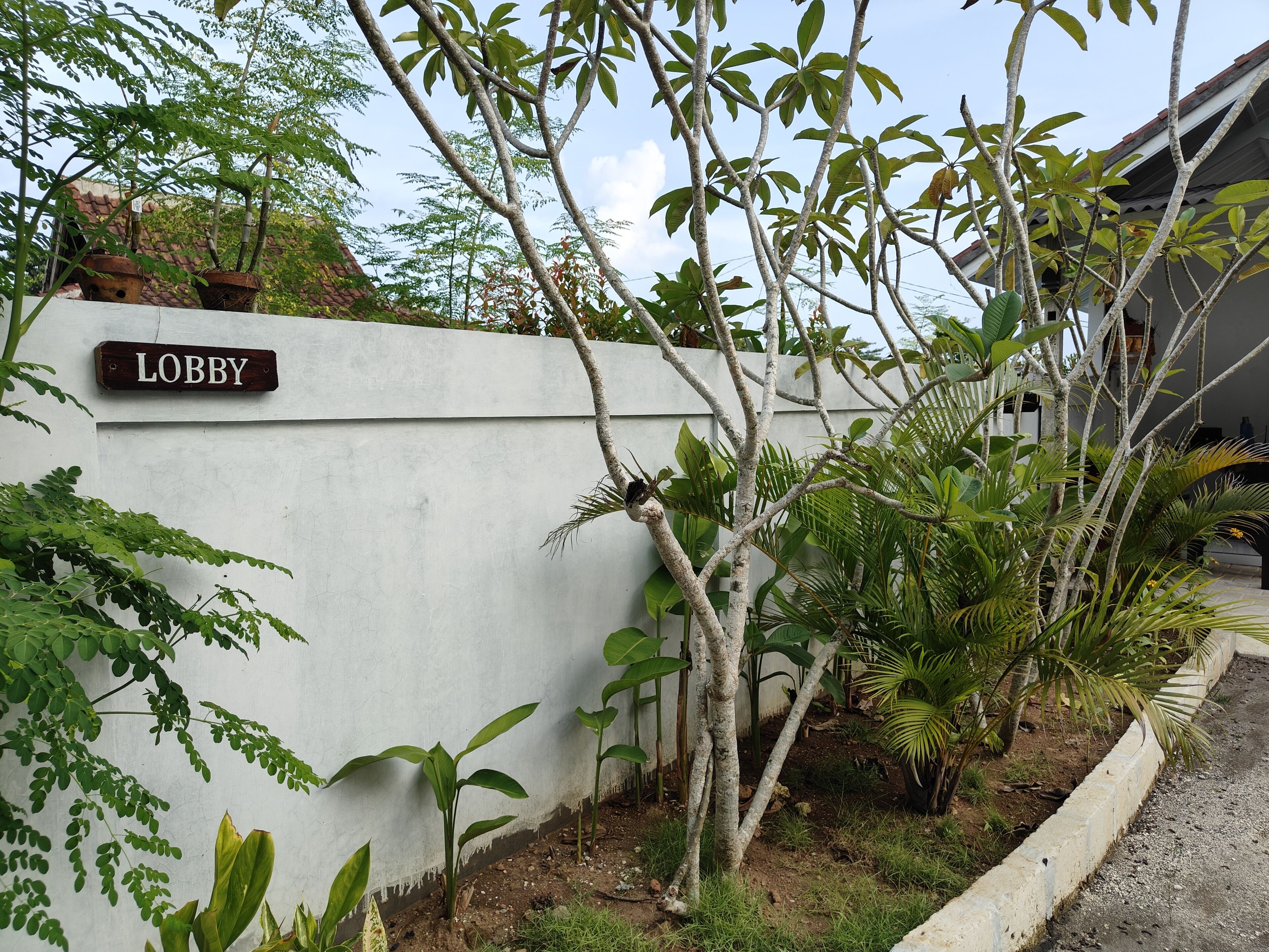 A white wall with a sign reading "Lobby" and various plants and trees around it.
