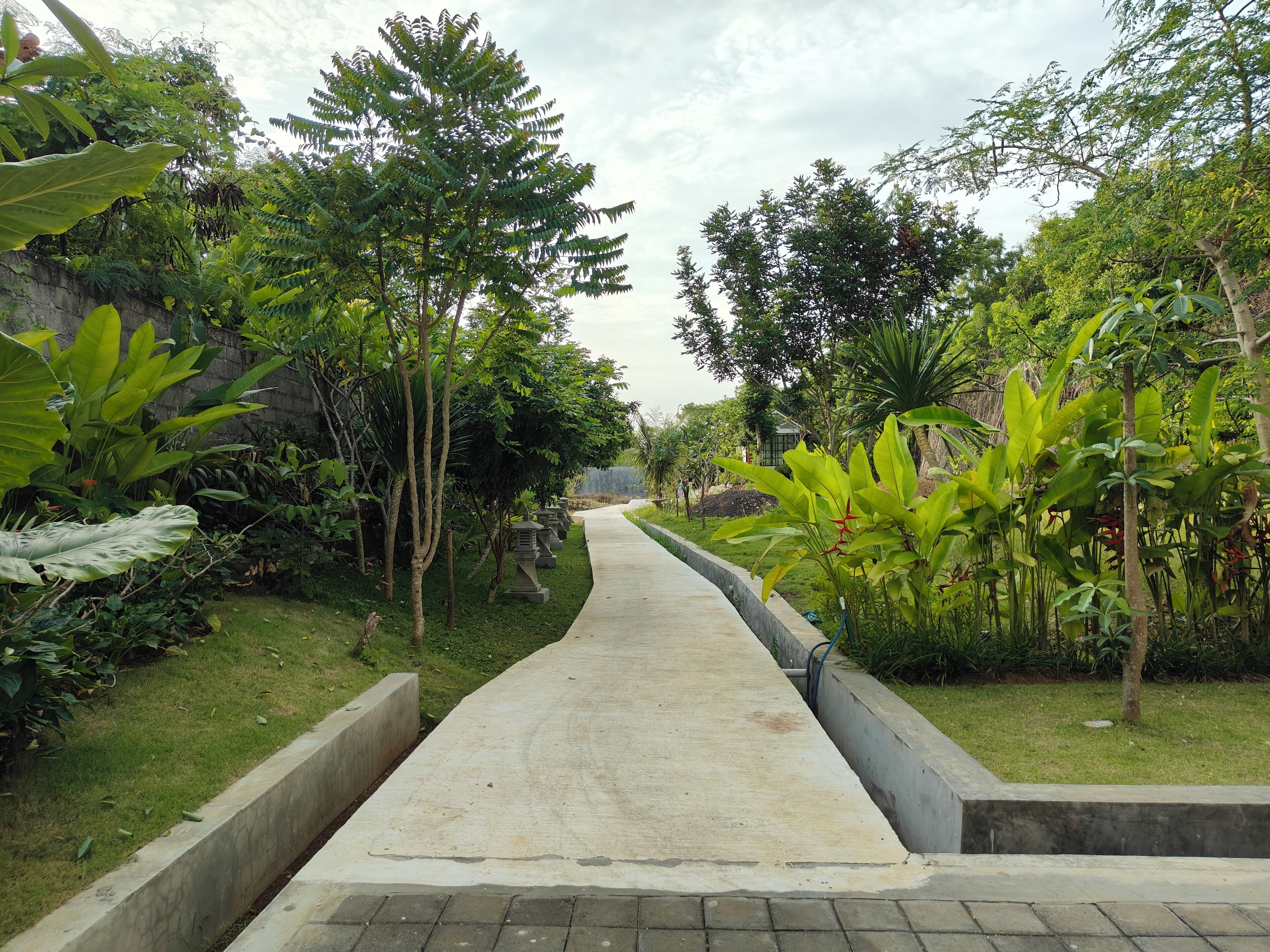 A concrete pathway flanked by lush greenery and trees.