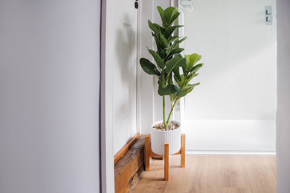 Una planta en maceta sobre un pedestal de madera en un pasillo con paredes blancas y suelo de madera.