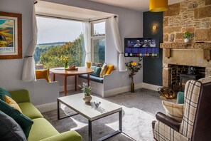 Televisor intel·ligent, llar de foc i llibres 