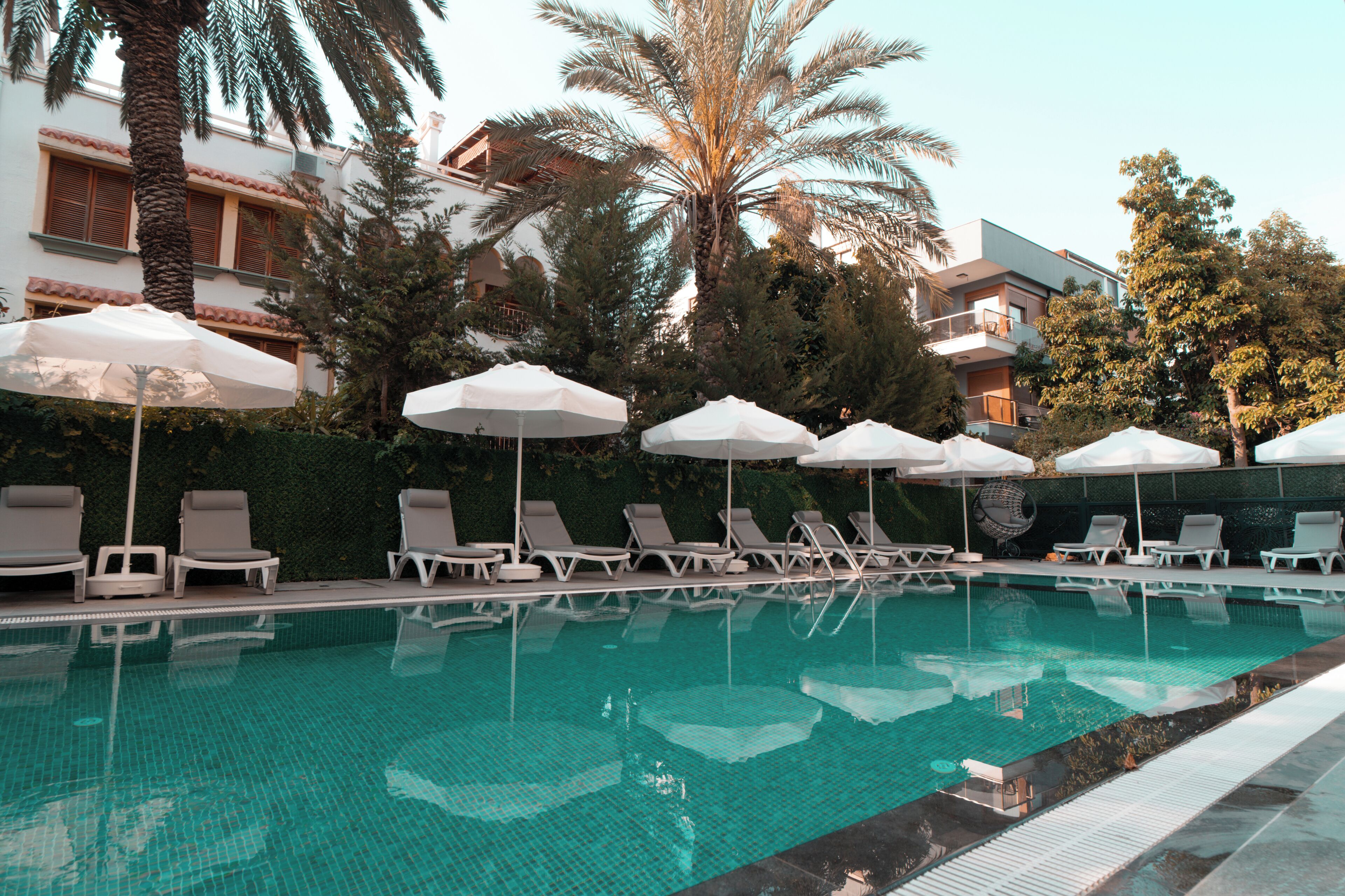 Photo - Sam Hotel