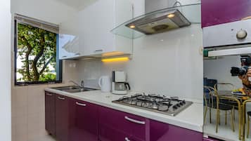 House | Private kitchen | Fridge, oven, stovetop, dishwasher