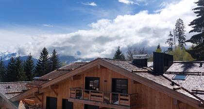 Luxury apartment 6-8 pers. with Balcony - small garden foot of slopes Combloux