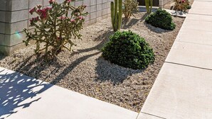 A landscaped garden with palm trees, cacti, and flowering plants along a pathway. - Modern Olive 3  Mid Century Modern Retreat (Palm Springs)