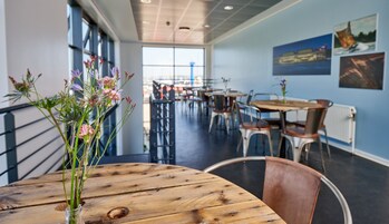 45-英寸纯平电视（配备卫星频道）