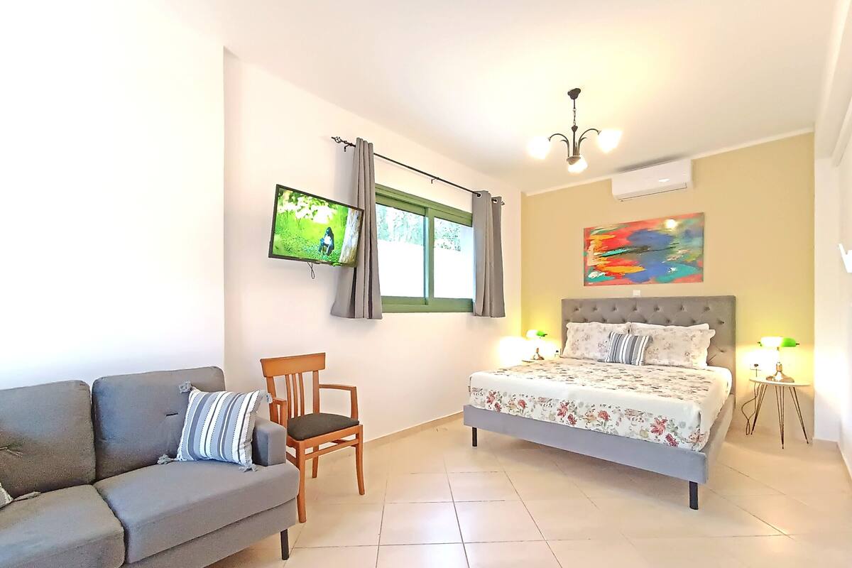 Une chambre à coucher avec un lit, un canapé, une chaise, une télévision et un tableau.