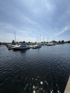 A marina with several boats docked, calm water, and a clear sky.