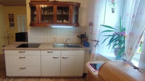 Una cocina con mostrador, pileta, alacenas y una ventana con plantas.