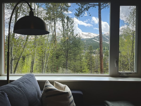 Interior - Mountain VIEWS, WALK to Town, Modern (Breckenridge)