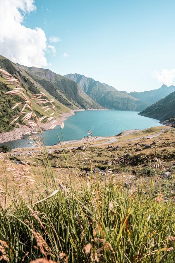 Un paisaje montañoso con un lago, un primer plano de hierba y cielo despejado.