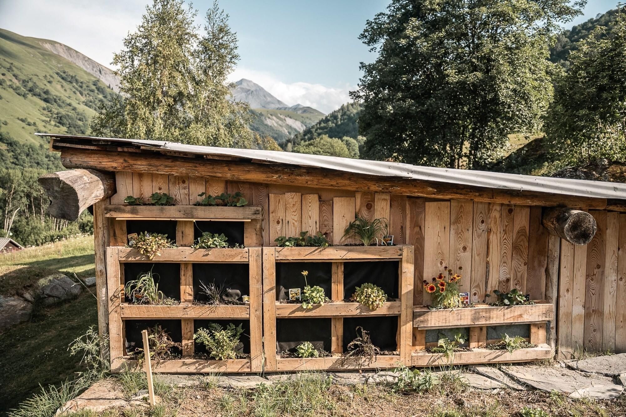 A rustic wooden cabin with multiple shelves for plants, set in a mountainous area.