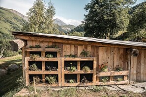 Una cabaña rústica de madera con múltiples estantes para plantas, ubicada en una zona montañosa.